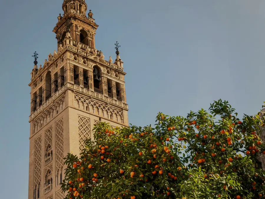 Córdoba Tower with oranges